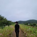 스머프하우스 | 강원도 속초 독채 펜션 스머프하우스 내돈내산 다녀온 후기