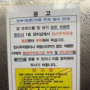 [안산 맛집]피제리아라쪼_정통 이탈리아 화덕피자 후기