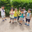 비젼아이어린이집 이미지