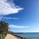 모션스포츠아카데미(Motion Sports Academy) | 하와이 서핑! 하와이 서핑이 유명한 이유는? 더위를 날릴 수 있는 시원한 오션 액티비티 '서핑'에 대해...