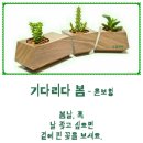 물소리 이미지