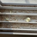 초원크리닝 이미지