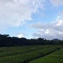 자담하우스 이미지