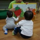 올리비아콩콩