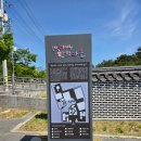 영천한의마을 약초도 | 영천가볼만한곳ㅣ내년 봄이 더 기다려지는 영천 한의마을ㅣ공조팝, 철쭉, 그리고 작약 26.05.11(월)