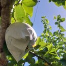 천만농장2 이미지