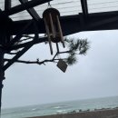 두레로2 | 울진 에어비앤비 후기(오션뷰, 독채, 주차편함)