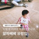 씨유운서스카이점 | 알파베베 유령빕 품절 이유 알겠네, 테리빕 아기 턱받이 직접 써본 후기