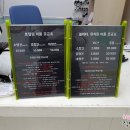 개인생활펫 이미지