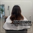 다니엘동물병원 | 부천 약대동 1인 미용실 웨이비헤어, 손상모 젤리펌 후기