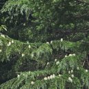 삼척들레펜션 이미지