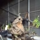 석부농장 이미지