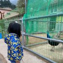 가래골농원 캠핑장 이미지