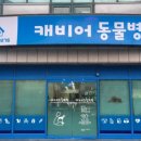 캐비어동물병원 이미지