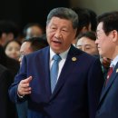 개꿈호텔 이미지