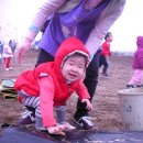 솔빛농장 이미지