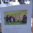 토끼야 놀자(영종하늘도시점) 이미지