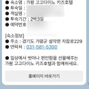 4살 아이와 함께한 가평숙소추천, 고고다이노 키즈호텔 후기 (내돈내산)