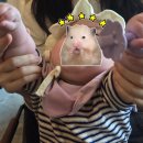 하너미로 네이버블로그