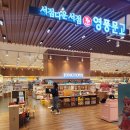 [공지] 정토이즈 동탄 롯데백화점 팝업스토어 방문 호르메 몬테소리 한살이 피규어 구매 교육 시기