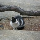 탁구 초급반 이미지