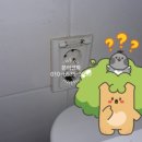 진성전업사