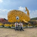 영상테마파크 관광안내소 | [내돈내산 후기] 임실치즈마을:: 축제는 피하고 여유롭게 즐긴 하루(먹이주기 체험) 🧀🐐