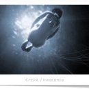 조정자 농장 | 서막 - AI 조류인플루엔자는 왜 사라지지 않는가.