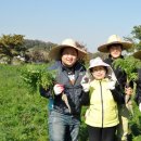 김광영농장 이미지