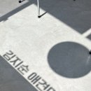 김지순애견미용학원 이미지