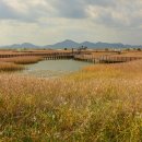 낙동강변 이미지