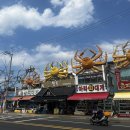 용식목장 | 여행기록 #06. 포항 구룡포&amp;호미곶/가족여행 1박2일