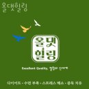 힐링요가(주간반) | 신수동요가 올댓힐링 가격 후기