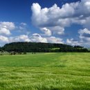 무성공인중개사사무소 이미지