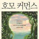 커먼스