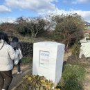 코코코게스트하우스 | 코코코게스트하우스 가족여행 비자림 독채 이용 후기_내돈내산