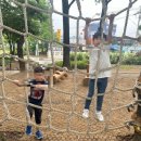 도솔어린이집 이미지