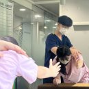서울마취통증의학과의원 이미지