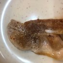 돼지들의이야기 이미지