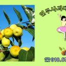 세중농장 이미지