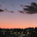 서초구름약국 | [솔빛 밀전 후기] 기관지 관리로 꾸준히 찾게 되는 이유