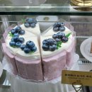 콜렉티보
