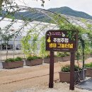 생태터널입구 이미지