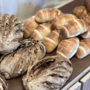 오늘의빵 이미지