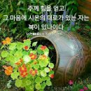 시온의 대로 이미지