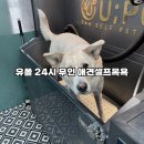 유폴 24시 애견셀프목욕 원주점 이미지