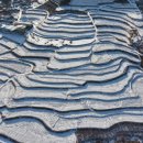 사포마을 이미지