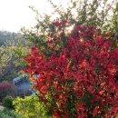 대원농장2 이미지