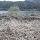 금가면사무소 이미지