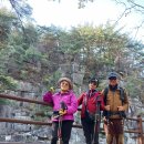 소선암자연휴양림 이미지